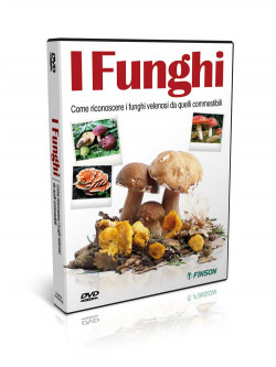 Funghi (I)