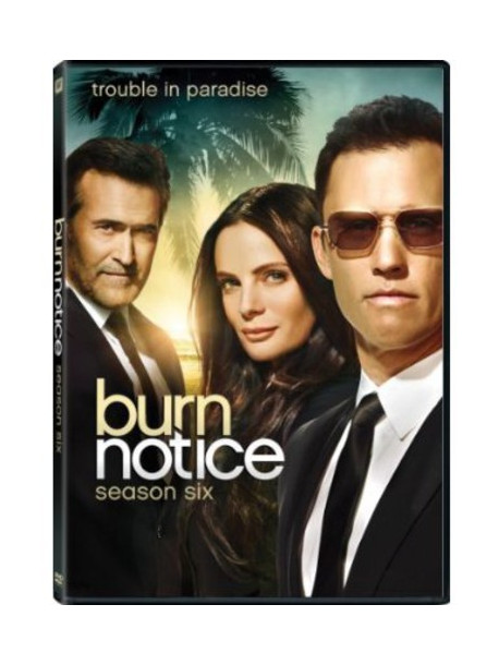 Burn Notice: Season 6 (4 Dvd) [Edizione: Stati Uniti]