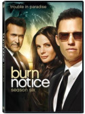 Burn Notice: Season 6 (4 Dvd) [Edizione: Stati Uniti]