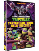 Teenage Mutant Ninja Turtles - Stagione 01 02 - Tartarughe Ninja Alla Riscossa