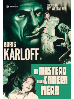 Mistero Della Camera Nera (Il)