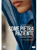 Come Pietra Paziente