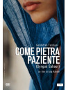 Come Pietra Paziente