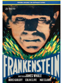 Frankenstein (1931)