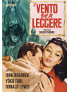 Vento Non Sa Leggere (Il)