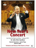 New Year's Concert 2013