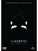Blackfish
