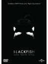 Blackfish