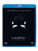 Blackfish