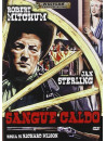 Sangue Caldo