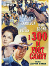 300 Di Fort Canby (I)