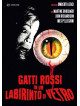 Gatti Rossi In Un Labirinto Di Vetro