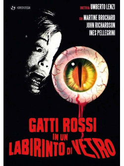 Gatti Rossi In Un Labirinto Di Vetro