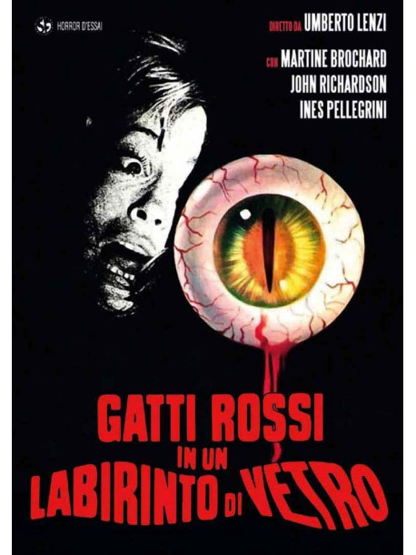 Gatti Rossi In Un Labirinto Di Vetro