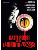 Gatti Rossi In Un Labirinto Di Vetro