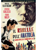 Ribelle Dell'Anatolia (Il) (America America)