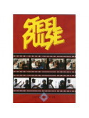 Steel Pulse - Introspective