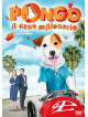 Pongo - Il Cane Milionario