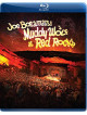 Joe Bonamassa - Muddy Wolf At Red Rocks