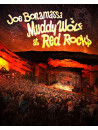 Joe Bonamassa - Muddy Wolf At Red Rocks (2 Dvd)
