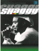 Shaggy - Live At Chiemsee Festival