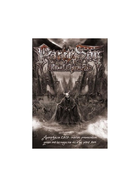 Party. San Metal Open Air 2010