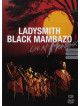 Ladysmith Black Mambazo - Live At Montreux