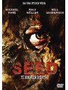 Seed