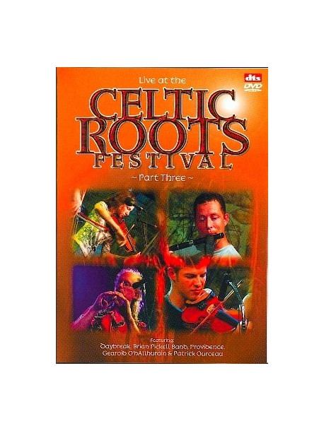 Live At The Celtic Roots Festival Part 3