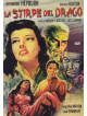 Stirpe Del Drago (La)
