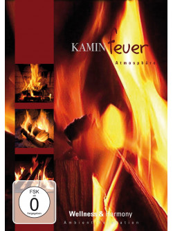 Fireplace Atmosphere