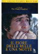 Fiore Delle Mille E Una Notte (Il)
