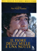 Fiore Delle Mille E Una Notte (Il)