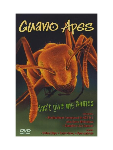 Guano Apes - Don'T Give Me Names