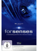 Blu Elements Project - Forsenses