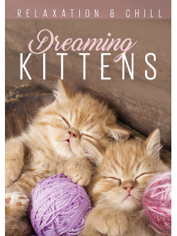 Relax: Dreaming Kittens