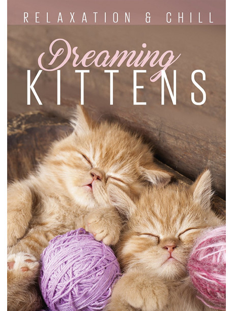 Relax: Dreaming Kittens