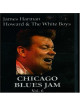 Chicago Blues Jam - Vol.6