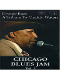 Chicago Blues Jam - Vol.3