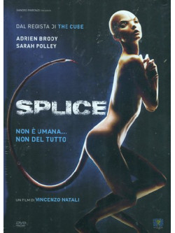 Splice