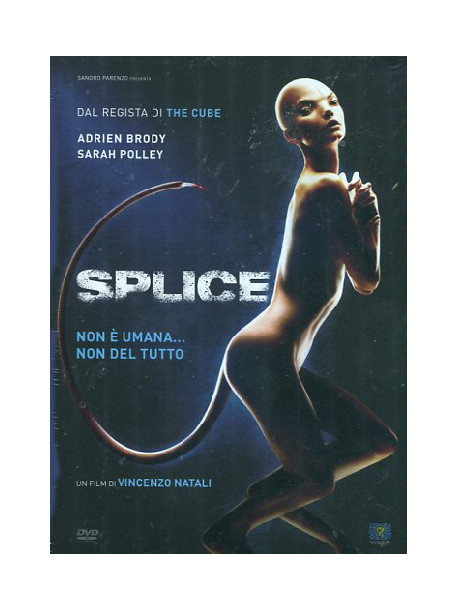 Splice