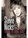 Stevie Nicks - Through The Looking Glass