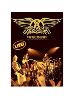 Aerosmith - You Gotta Move