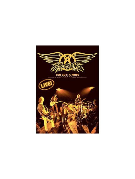 Aerosmith - You Gotta Move