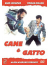 Cane E Gatto