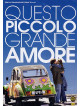Questo Piccolo Grande Amore