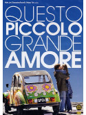 Questo Piccolo Grande Amore