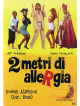 2 Metri Di Allergia