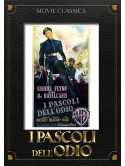 Pascoli Dell'Odio (I)