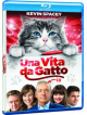 Nine Lives - Una Vita Da Gatto